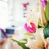Enalion Beauty Ltd - Other in Woking