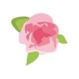 English Rose Beauty House - Other in Cambridge