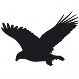 Enviroguard Pest Control Services - Pest Control in Kendal