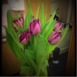 Florality - Florists in Lyndhurst