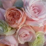 Florescence Freelance Floristry - Florists in Guildford