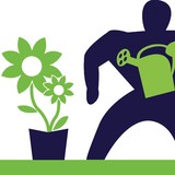 FOREVERGREEN GARDENS - Garden Services/Maintenance in West Wickham