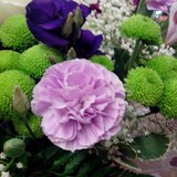Four Seasons Florists - Other in Wigan
