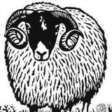 Glenalmond Tweed Co - Other in Perthy