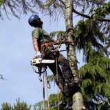 Greenacre LOLER Arb Inspector - Other in Ipswich