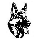 GSD Property Protection Services - Other in Hayle