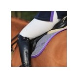 Holly Tree Equestrian Centre - Other in Knutsford