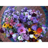 Honey Pot Flowers - Florists in Warwick