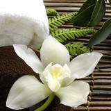 Hush Beauty Spa - Other in Stockport