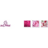 J & E Page (Distributors) Ltd - Other in Feltham