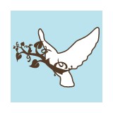 Kelly & Co - Solicitors & Lawyers in Leicester