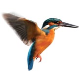 Kingfisher Packaging - Other in Wellington