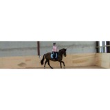 Kingrigg Farm & Livery Stables - Other in Carlisle