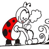 Ladybirds Cleaning Services Ltd - Other in Cardiff