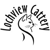 Lochview Cattery - Other in Dunfermline