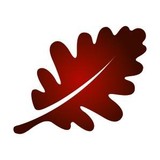 Luscombe Maye - Real Estate Agents in Plymouth