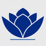 Maidenhead Dental Centre - Dentists in Maidenhead