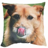 Mybiggerpicture.com Ltd - Other in Macclesfield