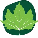 Peaks & Plains Housing Trust - Other in Macclesfield