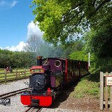 Perrygrove Railway - Other in Coleford