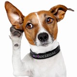 Pink Personal Injury Network - Other in Hull