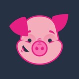 Pink Pig Loans Ltd - Other in Barry