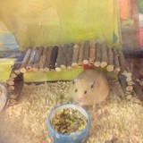 Pippins Pre-school - Other in Farnborough