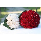 Platinum - Flowers - Florists in Hartlepool