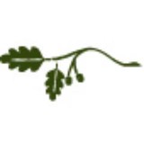 Primary Tree Surgeons Ltd - Other in Basingstoke