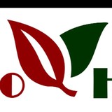 PRIMO HERB - Acupuncture in London