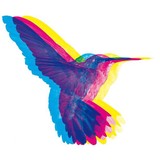 Push Design & Print Ltd - Other in Glasgow