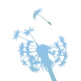 Radiant Beauty & Holistic Therapies - Other in Leeds