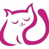 Rainstone Gate Luxury Cat's Hotel - Other in Houghton le Spring