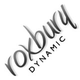 ROXBURY DYNAMIC WEB DESIGN - Other in Stockport