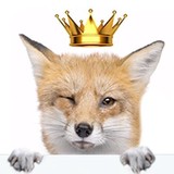 Royal Fox - Real Estate Agents in Rochdale