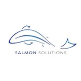 Salmon Plumbing Ltd - Roofing in Exeter
