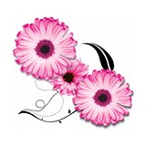 Scents Of Occasion - Florists in Southampton