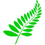 SDM Tree Services - Other in Normanton