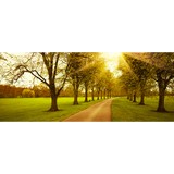 Sherwin Insurance Services Ltd - Other in Derby
