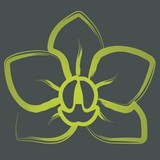 Shirley Snell Florists - Florists in Salisbury