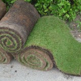 Sykes Lawn Turf Ltd - Other in Doncaster