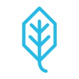 The Education Company - Marketing in Rochester