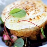 The Lamb Inn - Hotels in Cheltenham