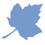 The Maple Leaf Clinic - Other in Twickenham