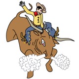 The Rodeo Bull Co.Ltd, - Other in Harrogate