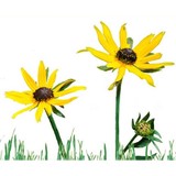 Third Level Foundation Ltd - Other in Aberdeen