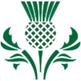 Thistle Landscapers - Other in Glasgow
