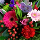 Timperley Florists - Florists in Altrincham