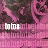 Toto's Wine Bar - Wine Bars in Bristol