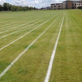 TOWN & COUNTRY GARDENS - Other in Newark-on-Trent